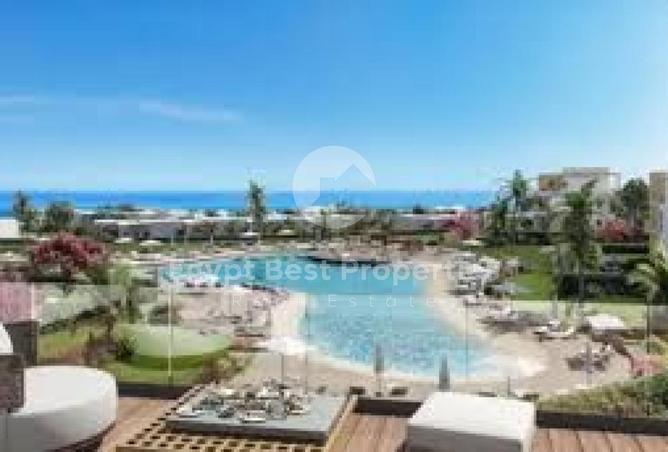 8561561 - Property Image 3