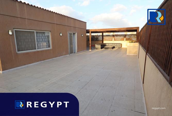 8238512 - Property Image 3