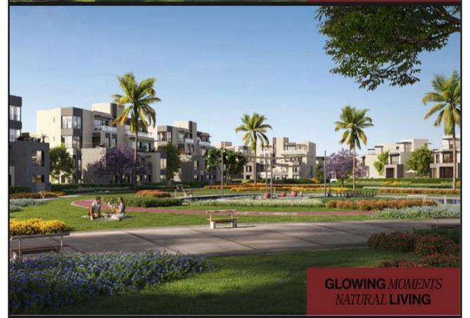 7990189 - Property Image 3