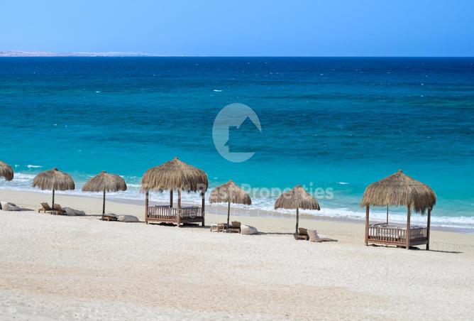 7982331 - Property Image 3