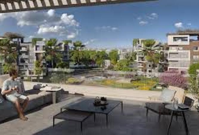 7996979 - Property Image 3