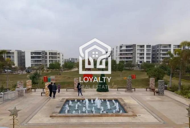 8209812 - صورة العقار 2