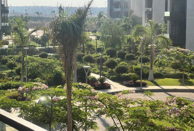 8255629 - الصورة الرئيسية للعقار