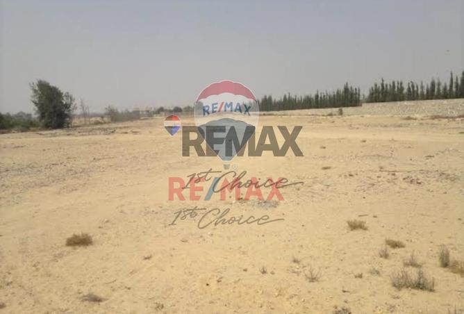 7974378 - Property Image 2