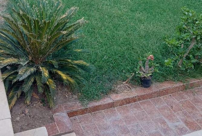 8088486 - Property Image 2