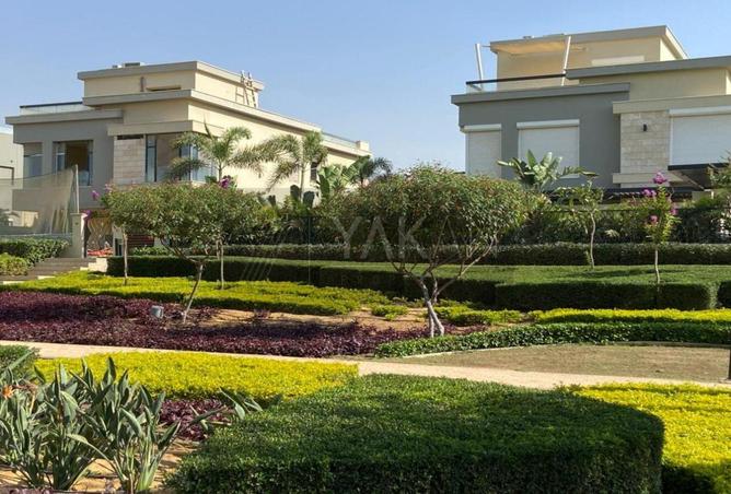 8010186 - صورة العقار 3