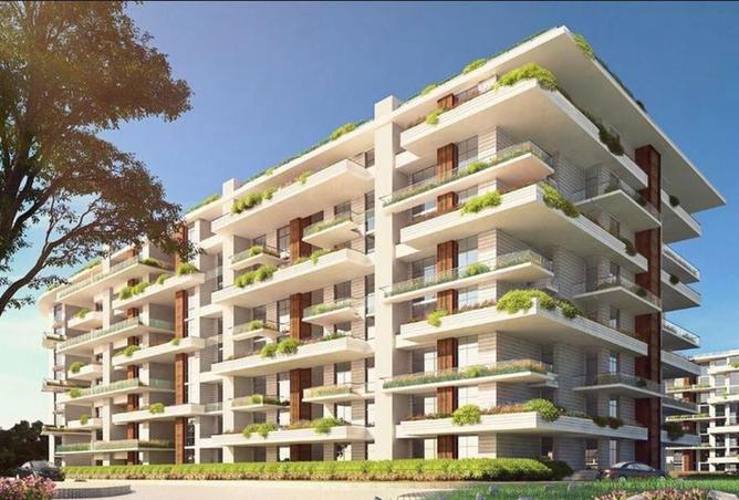 7990063 - Property Image 2
