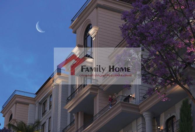 8478371 - Property Image 3