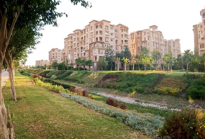 7986326 - صورة العقار 3