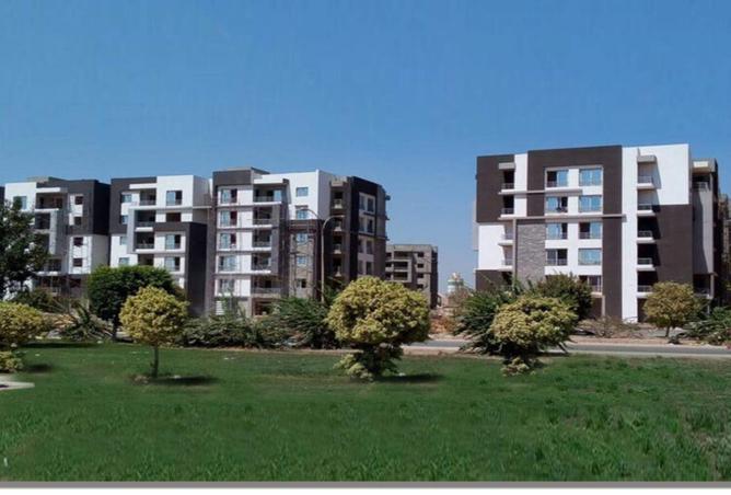 8500832 - Property Image 3