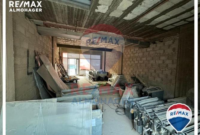 8139308 - Property Image 3