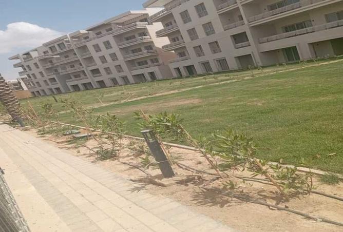 8481818 - الصورة الرئيسية للعقار