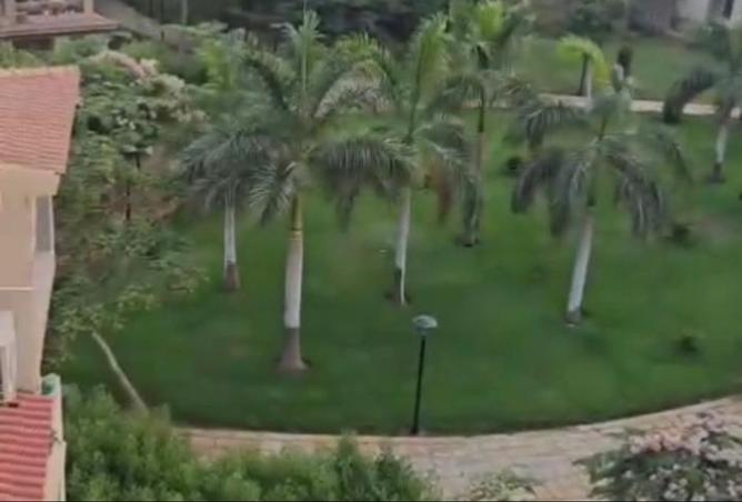 8168027 - صورة العقار 2