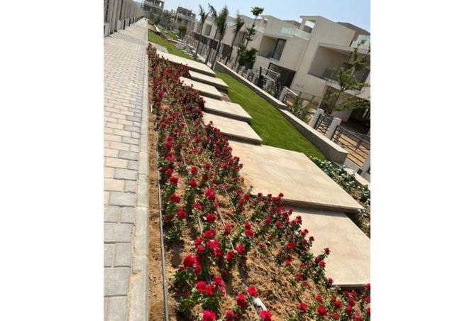 8308885 - صورة العقار 3