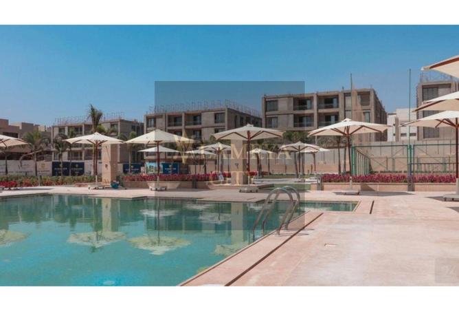 7937135 - Property Image 3