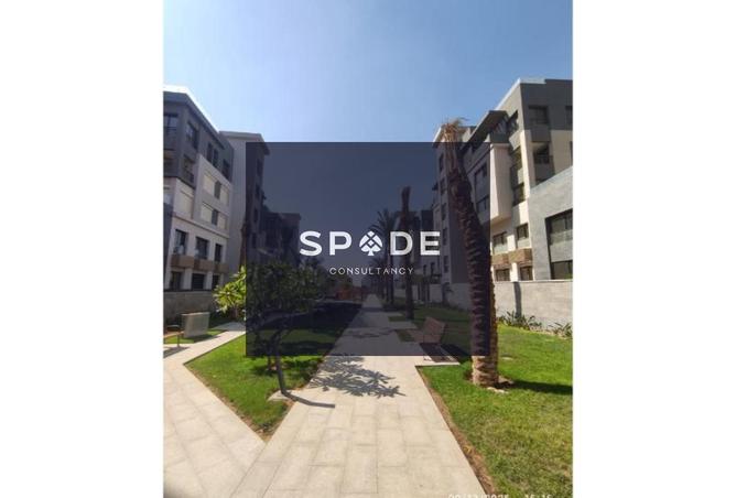 8088837 - صورة العقار 3