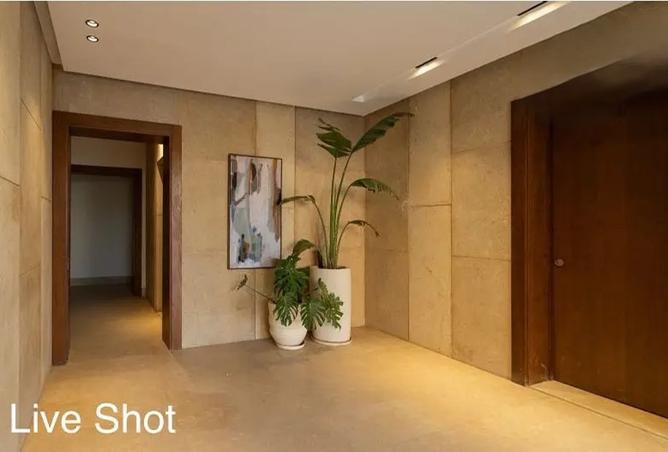 8170209 - صورة العقار 3