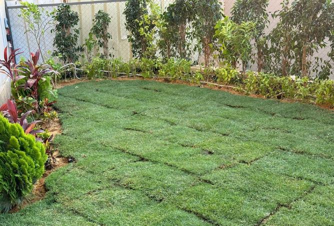 8198365 - صورة العقار 2