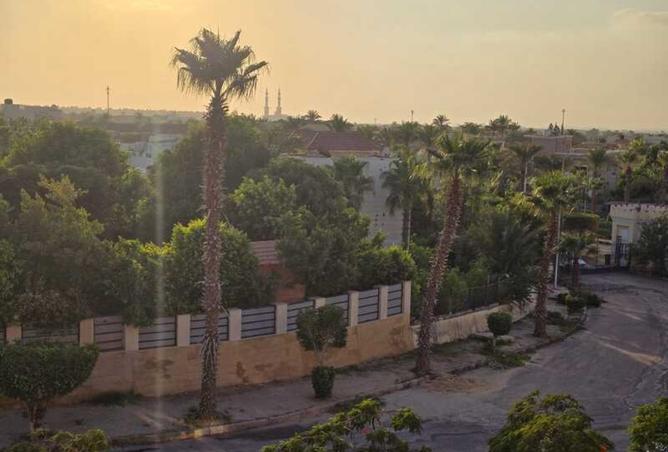7961990 - صورة العقار 3