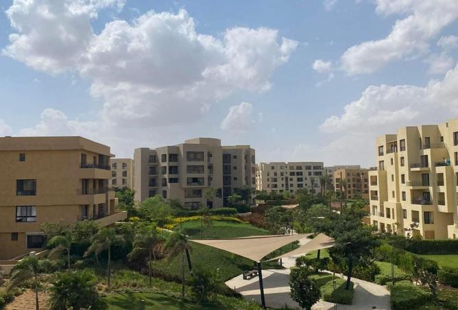 8421509 - صورة العقار 3