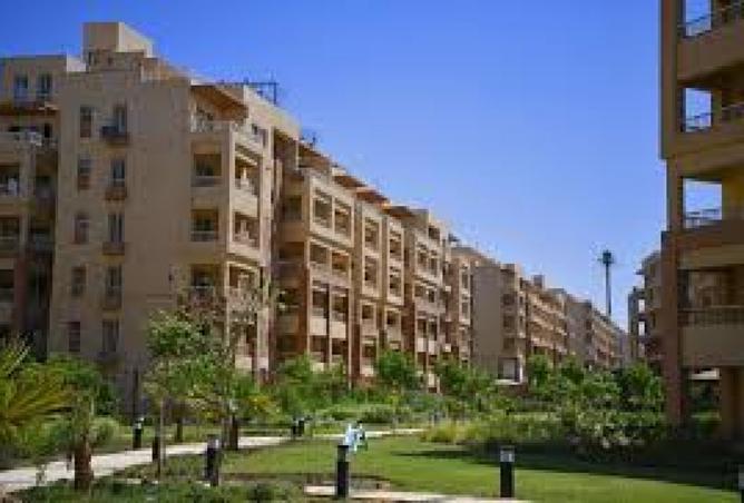 8554118 - صورة العقار 3