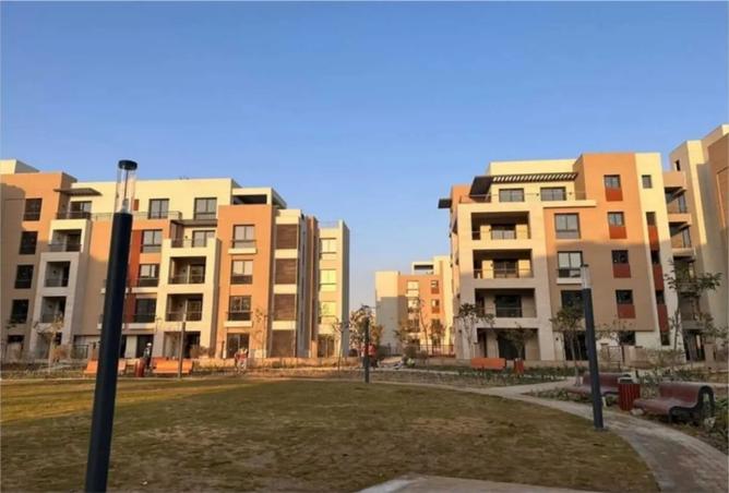 8331942 - Property Image 3