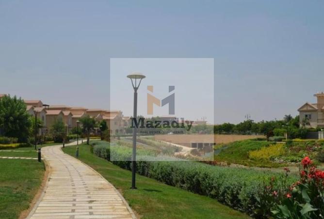 8377390 - Property Image 2