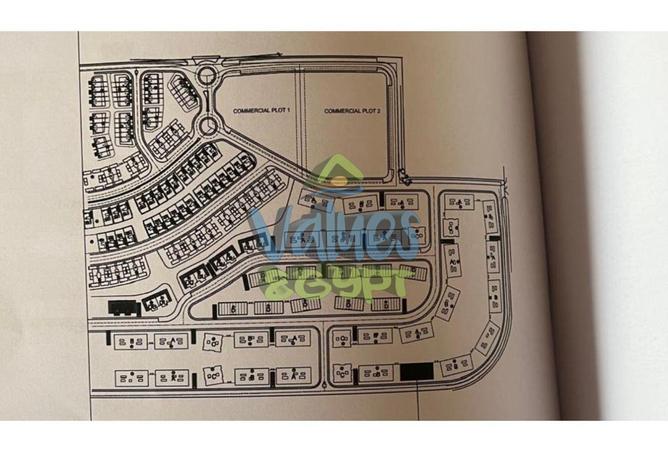 8195262 - Property Image 3