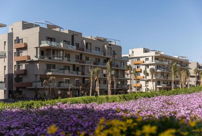 8448664 - Property Image 3