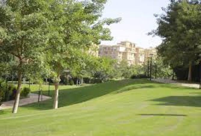 8278393 - Property Image 2