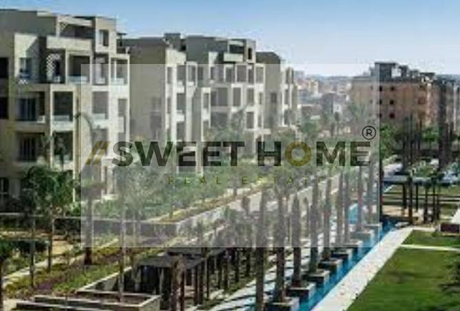 8325405 - Property Image 3