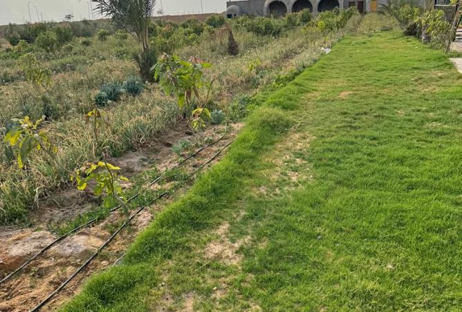 8486679 - صورة العقار 2