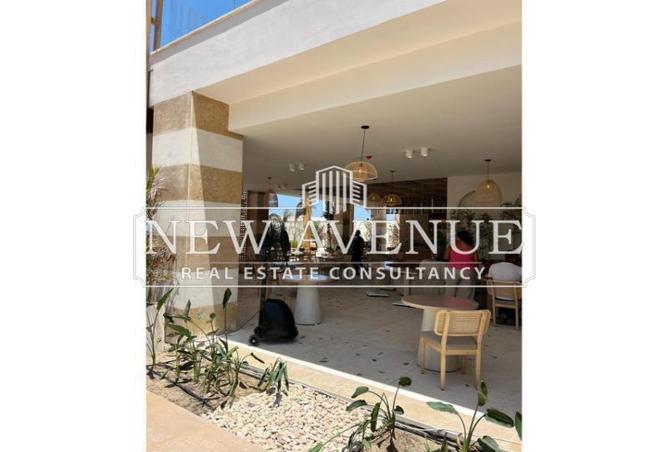 8175752 - Property Image 3