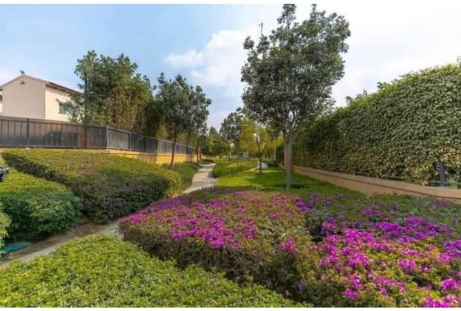 8167362 - صورة العقار 2