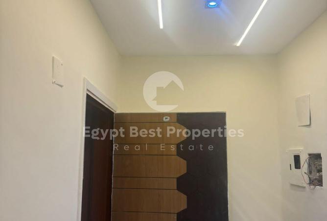 8382775 - Property Image 3