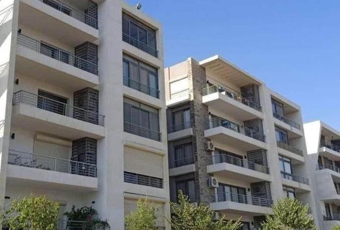 8425520 - Property Image 3