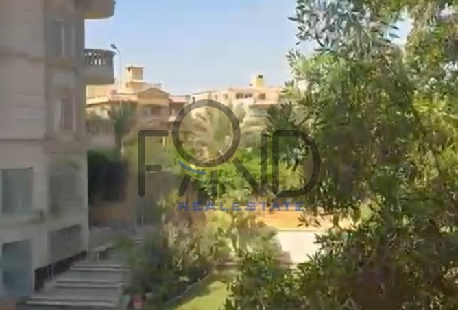 7903784 - صورة العقار 3