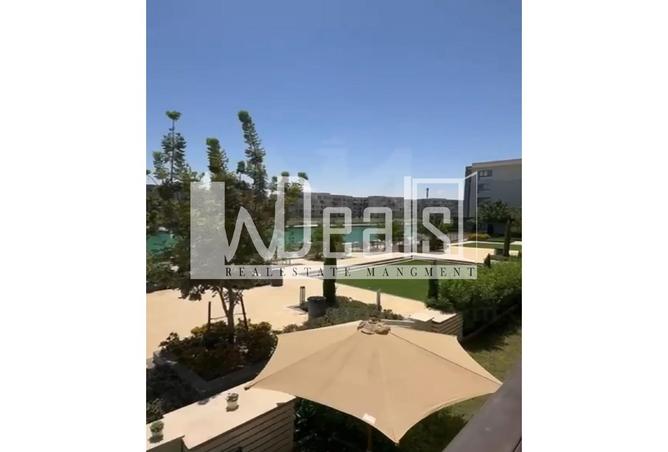 8197850 - Property Image 2