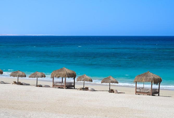 8443382 - Property Image 2