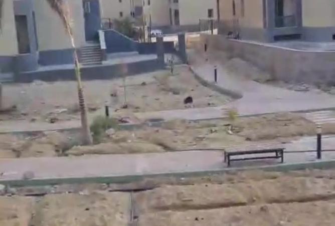 8538564 - صورة العقار 2