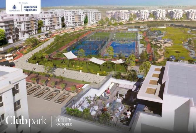 7987411 - Property Image 3