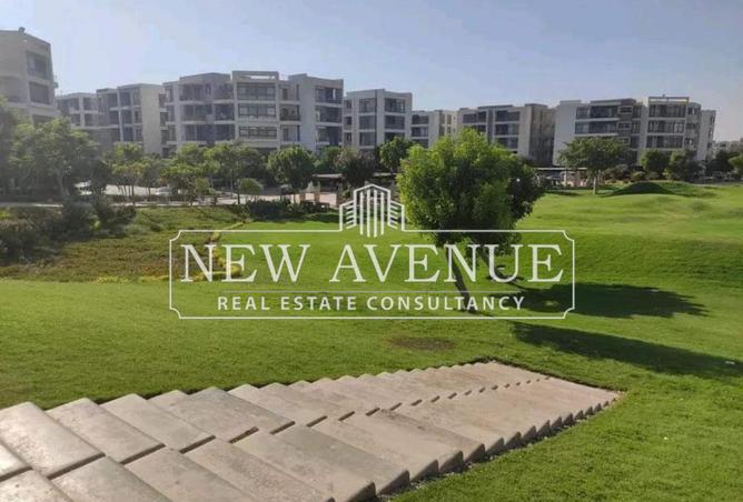 8156564 - صورة العقار 2