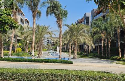 Apartment - 3 Bedrooms - 3 Bathrooms for sale in El Patio Oro - 5th Settlement Compounds - The 5th Settlement - New Cairo City - Cairo