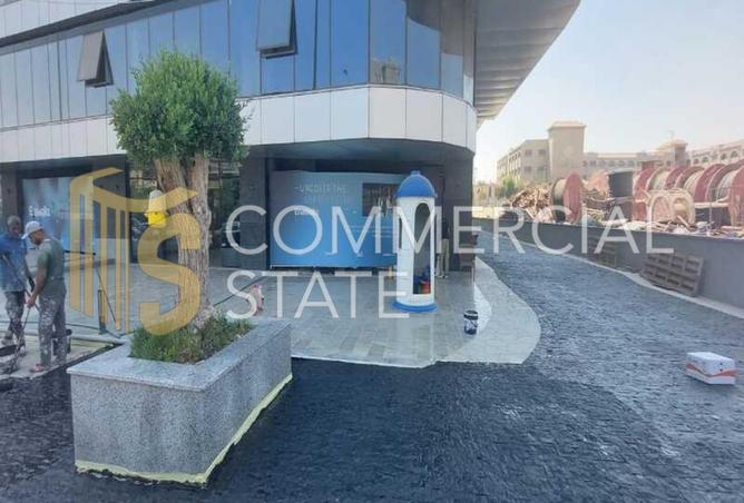 8188261 - Property Image 3