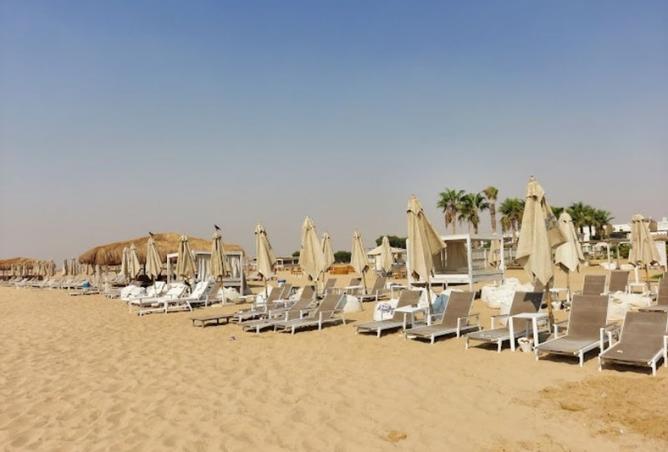 8462560 - صورة العقار 2