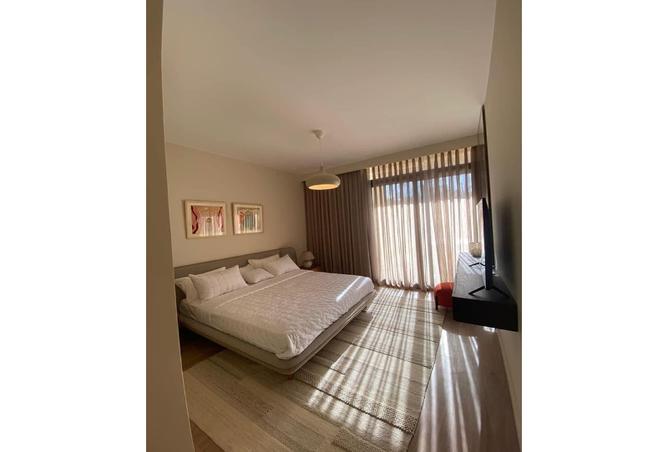 7981774 - Property Image 2