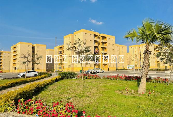 8181588 - صورة العقار 2