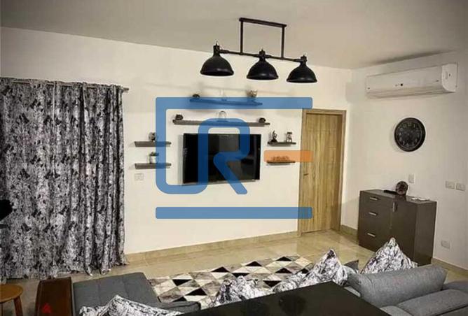 8191868 - Property Image 3