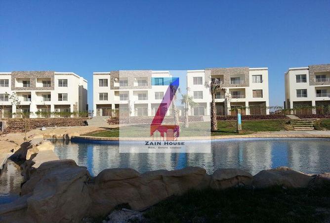 7982901 - Property Image 2