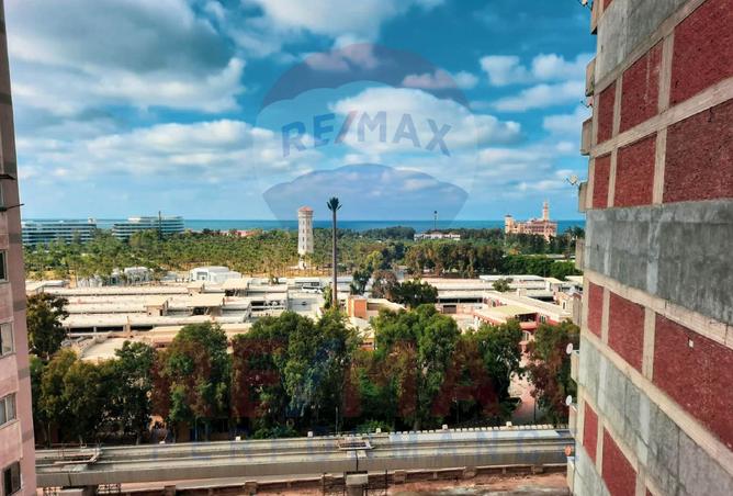 8186440 - الصورة الرئيسية للعقار